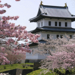 名所が多い北海道の桜の開花時期